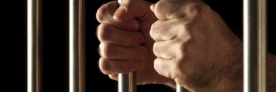 Williams Criminal Defence Lawyer Adelaide - Nikola Novakovich